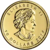 1/4oz Royal Canadian Mint Arctic Fox .9999 Gold Coin