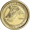 2016 1/4oz Royal Canadian Mint Snow Falcon .9999 Gold Coin