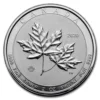 Any Year 2oz Canadian Twin Maple .9999 Silver Coins