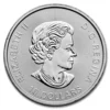 Any Year 2oz Canadian Twin Maple .9999 Silver Coins
