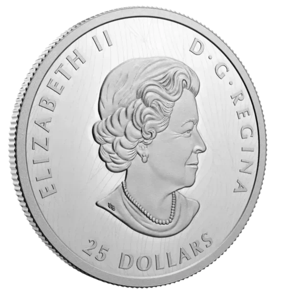 2021 1oz Royal Canadian Mint Bold Bison .9999 Silver Proof Extraordinarily High Relief Coin