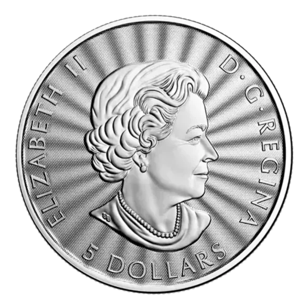 2022 1oz Royal Canadian Mint .9999 Silver Majestic Polar Bear Coin in Assay Card