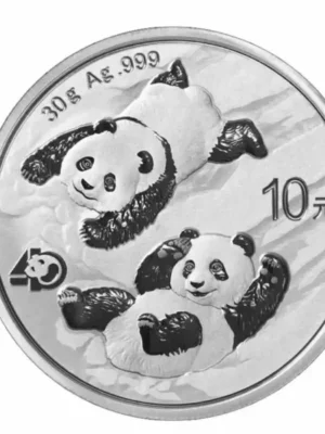 2022 30g Chinese Silver Panda Coin