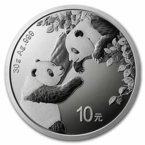 2023 30g Chinese .999 Silver Panda