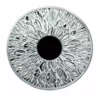 2024 1oz GSM Silver Shield Mini Mintage Series -The Eye .999 Silver Proof Medal