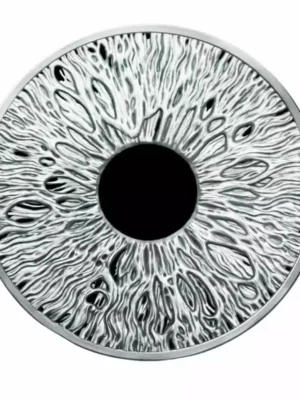 2024 1oz GSM Silver Shield Mini Mintage Series -The Eye .999 Silver Proof Medal