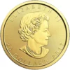 (Random Year) 1/2oz Canadian Maple Leaf .9999 Gold Coin